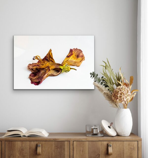 Dernier Instant – Image 2