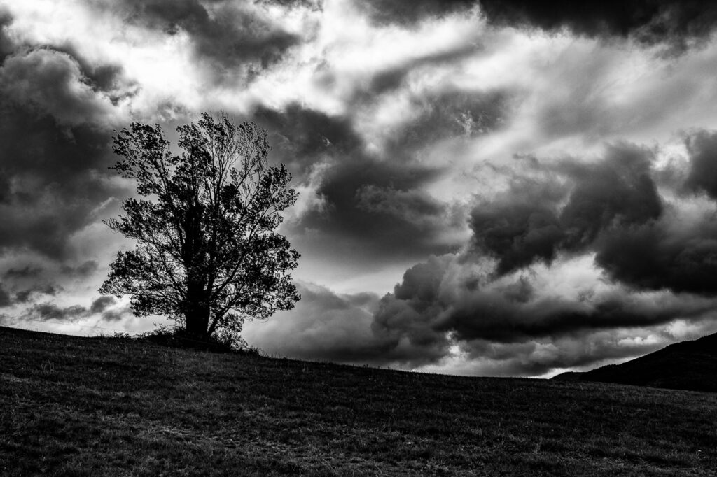 Orage Muet est une photographie d’Art en noir et blanc issue de ma série Ciel, Terre, Vie. Cet arbre solitaire, capturé face à un ciel tempétueux, incarne force et résilience.