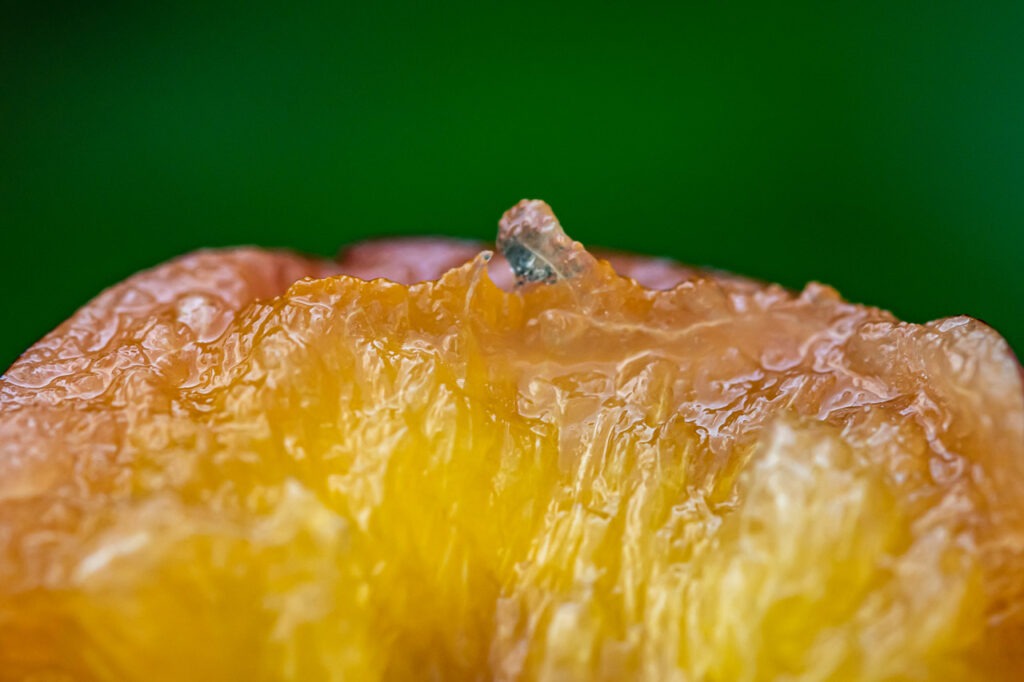 Bien en chair est une photographie de texture captivante qui met en scène la chair juteuse d&#039;une prune. Cette œuvre est une invitation à apprécier la beauté cachée dans les détails et les textures de notre monde quotidien.