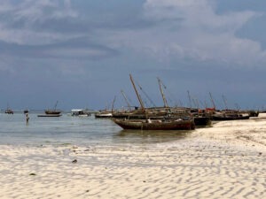 Pastel de Z capture la sérénité des bateaux de pêche traditionnels sur une plage de Zanzibar, avec des couleurs douces évoquant un tableau pastel.
